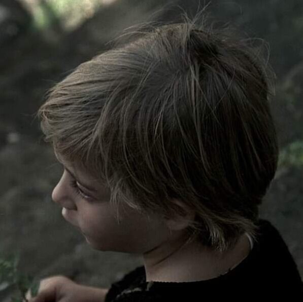 Letterboxd profile picture for @Shawon