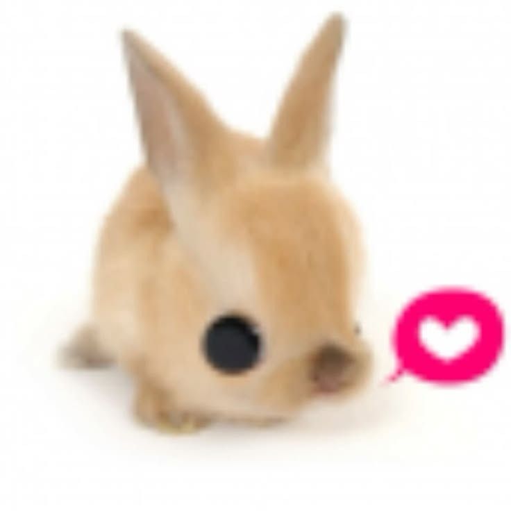 ‎nenoko’s profile • Letterboxd