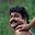 Abhi