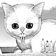 catzz763
