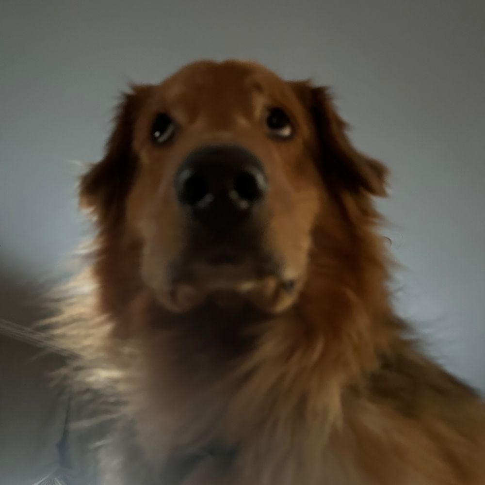 breepbreep