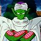 Piccolo Jr