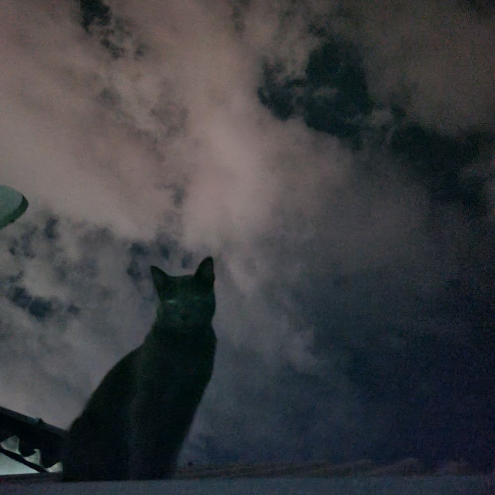 Letterboxd profile picture for @Vini_stumm