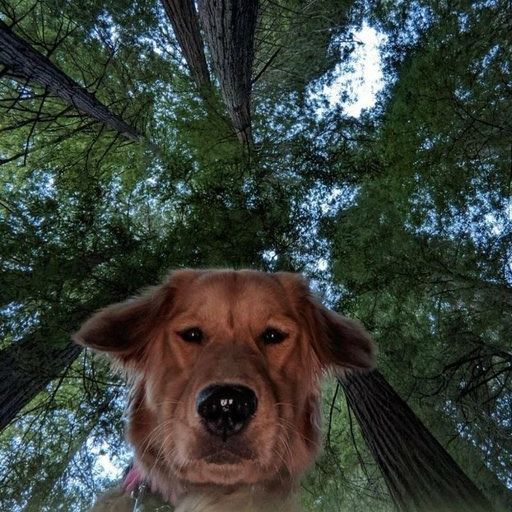 Letterboxd profile picture for @Bulky