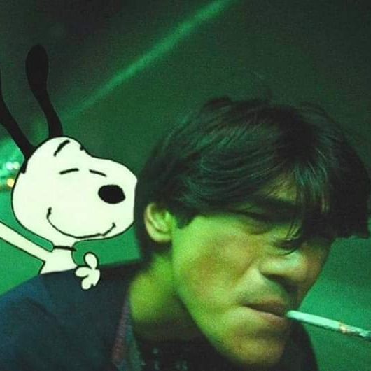 Letterboxd profile picture for @Ivan2208