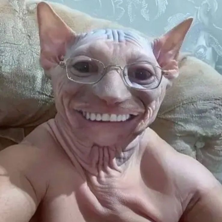 Letterboxd profile picture for @Stuttering
