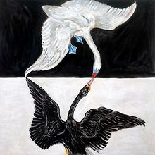 bethmorrison