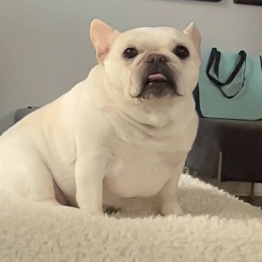 Letterboxd profile picture for @feasting