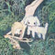 dud☆