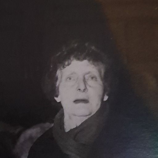 Letterboxd profile picture for @leisurely
