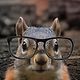 Glassy Squirrel