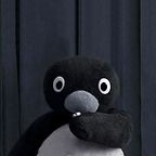 苏罗夫·孙
