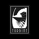 Turbine