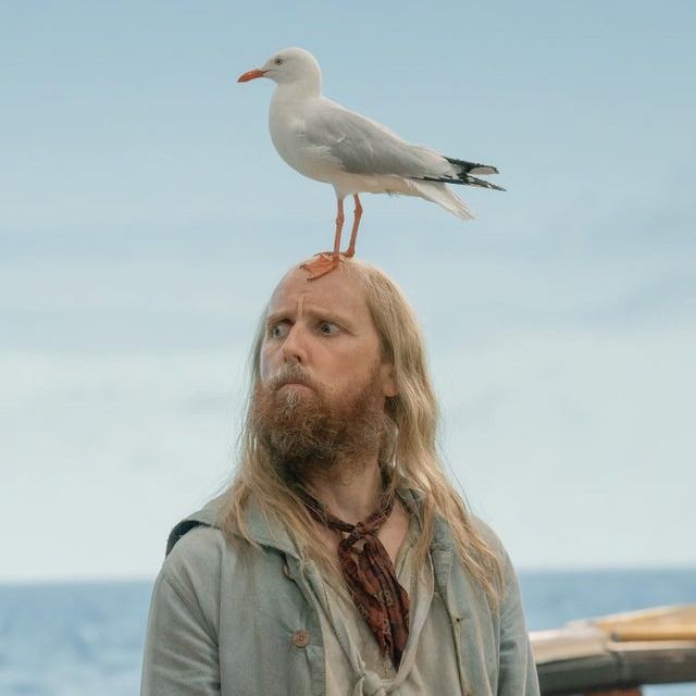 Letterboxd profile picture for @Companion