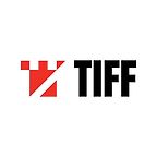 Transilvania IFF