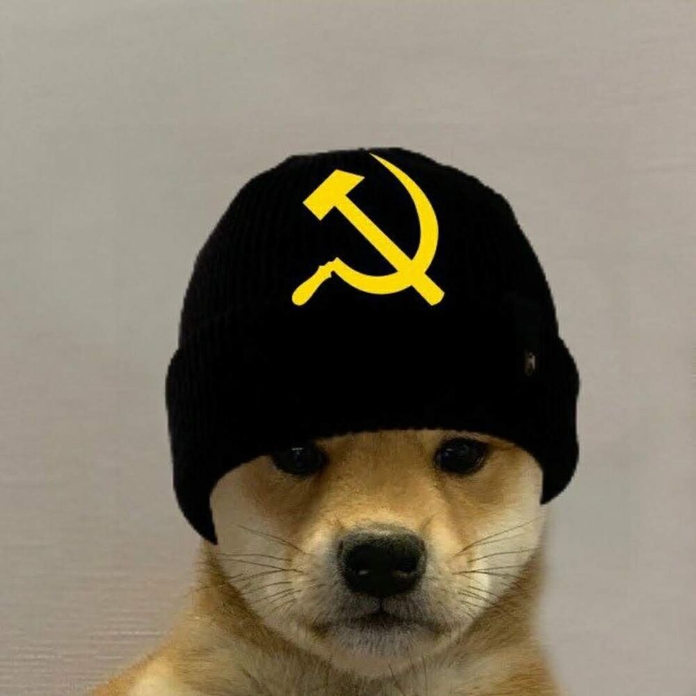 Letterboxd profile picture for @Pubes