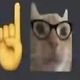 meow