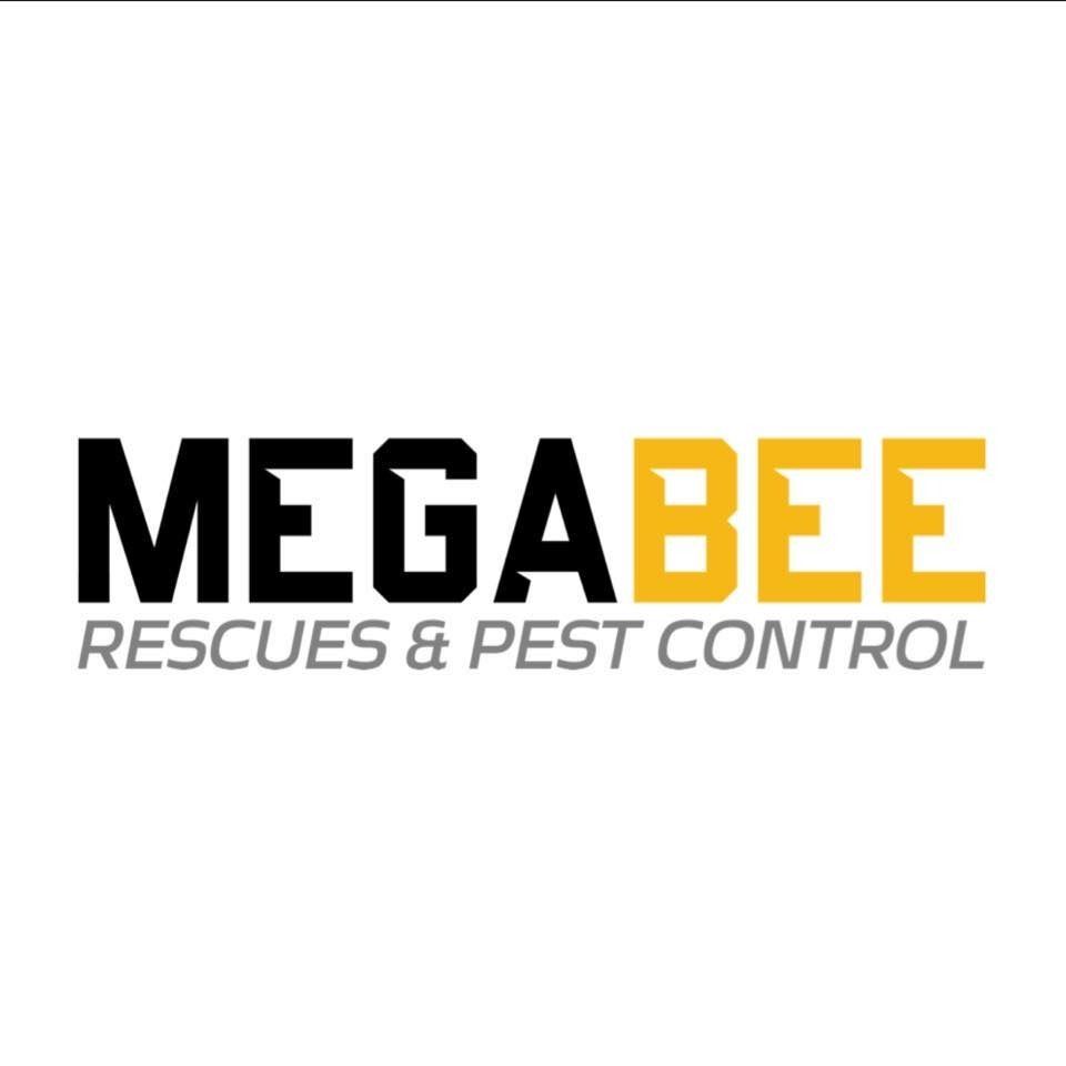 Letterboxd profile picture for @Rescues