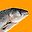 SalmonSammun