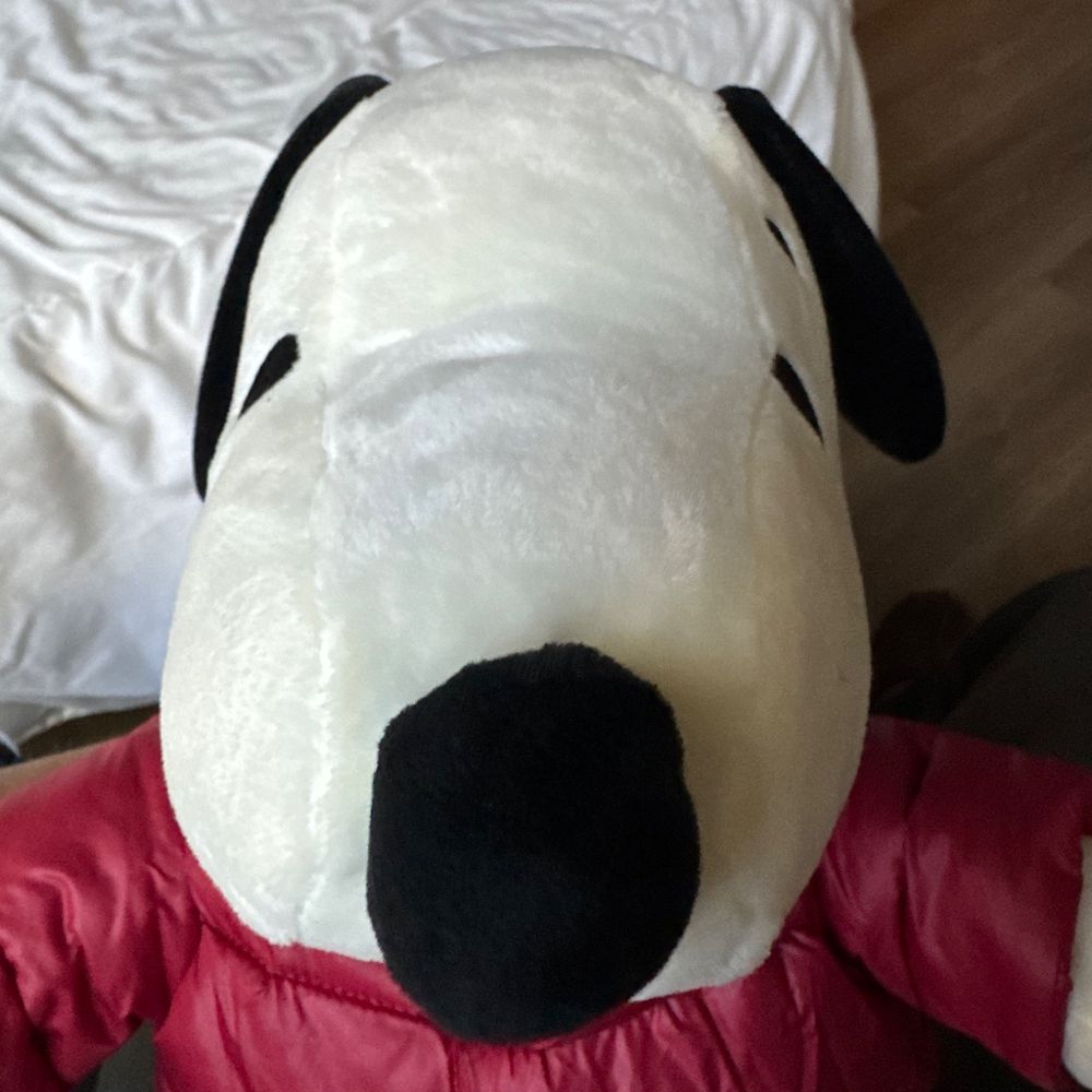 Letterboxd profile picture for @scober