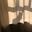 PlainviewPics