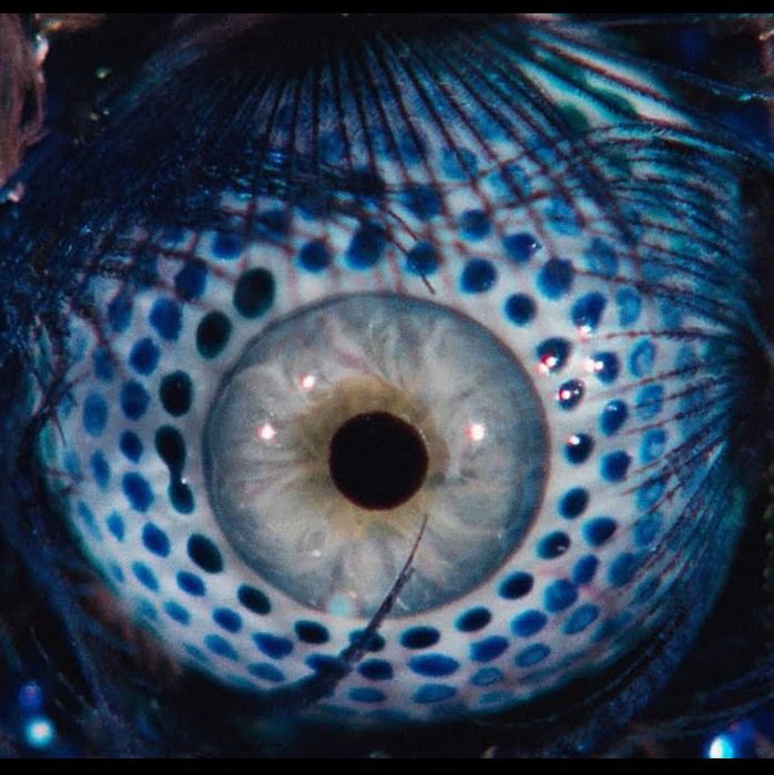 Letterboxd profile picture for @procrastinate