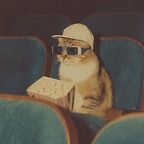 elise✨🐝
