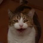 jo