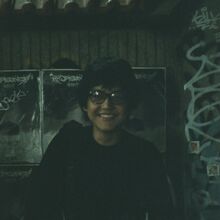 Aldi Aristian