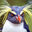 TropicalPenguin