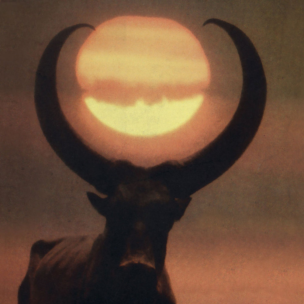 Letterboxd profile picture for @lotus