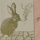 lapin