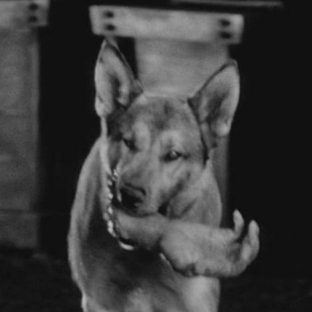 Letterboxd profile picture for @Skip