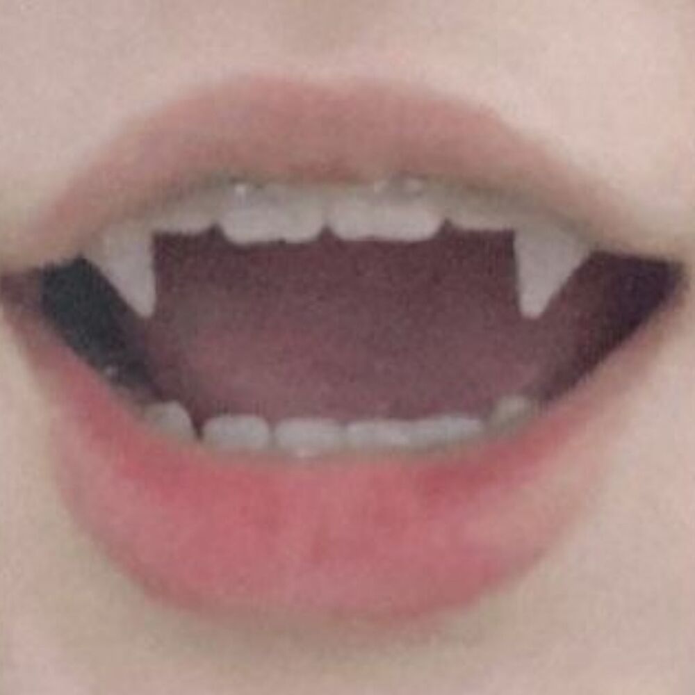 Letterboxd profile picture for @fob