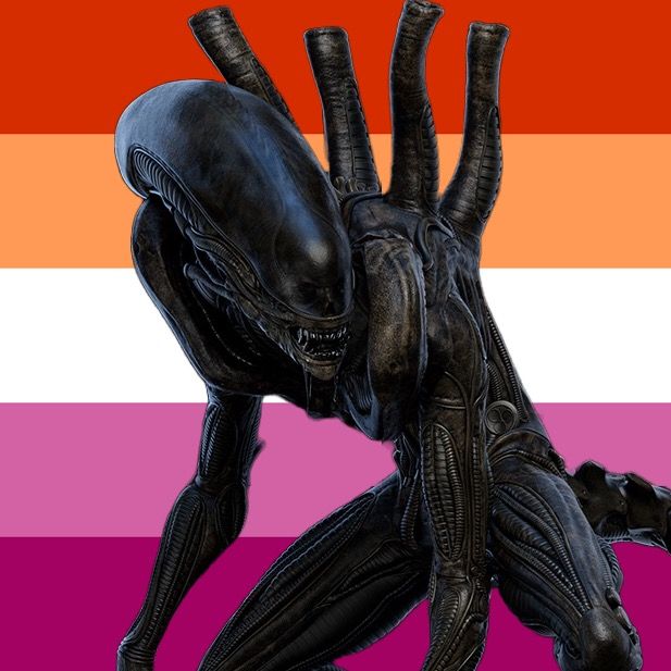 ‎Allie The Alien’s profile • Letterboxd