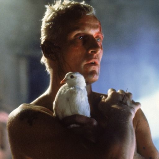 Letterboxd profile picture for @Lure