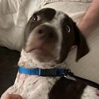 Zoë