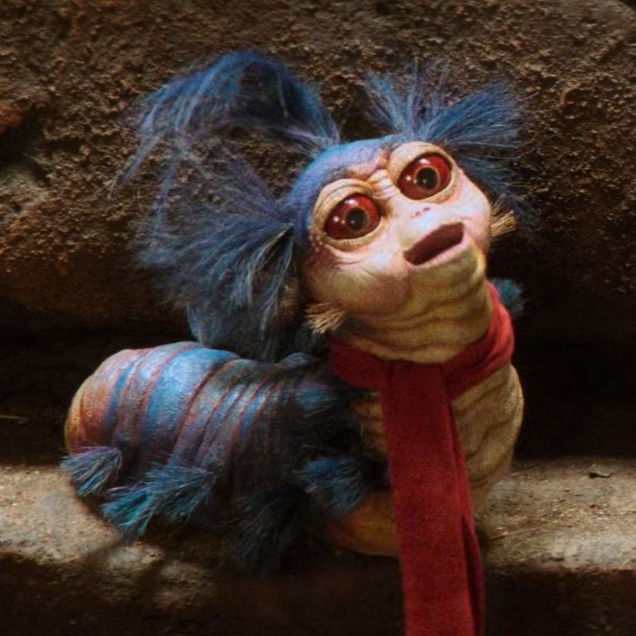 ‎megs’s profile • Letterboxd