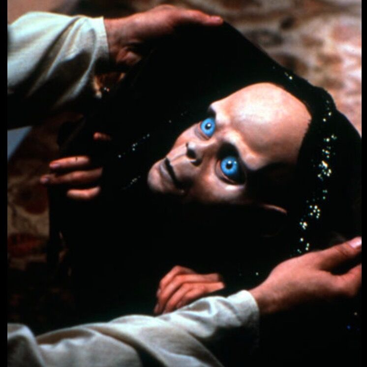 Letterboxd profile picture for @Tractor