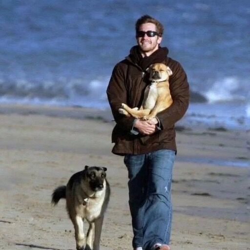 ‎salvi’s profile • Letterboxd