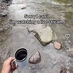 april forrest lin 林森