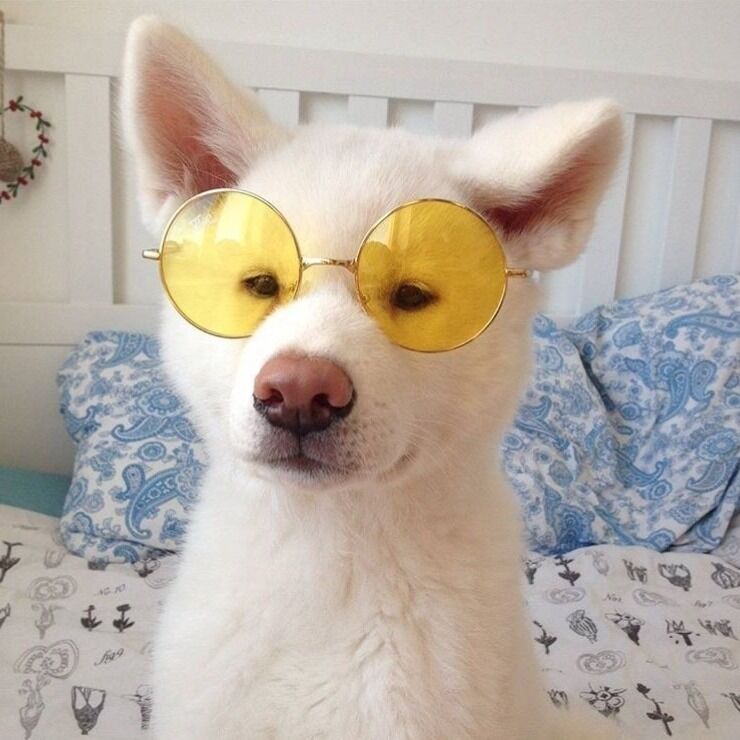 Letterboxd profile picture for @elusive