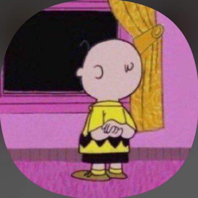 Letterboxd profile picture for @shekh