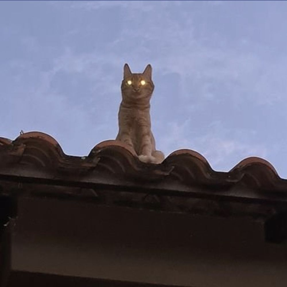 Letterboxd profile picture for @r0ger