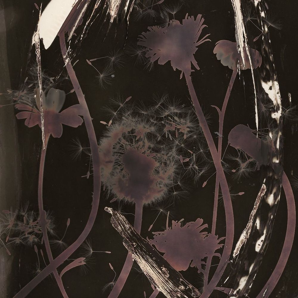 aya