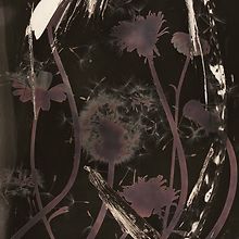 aya
