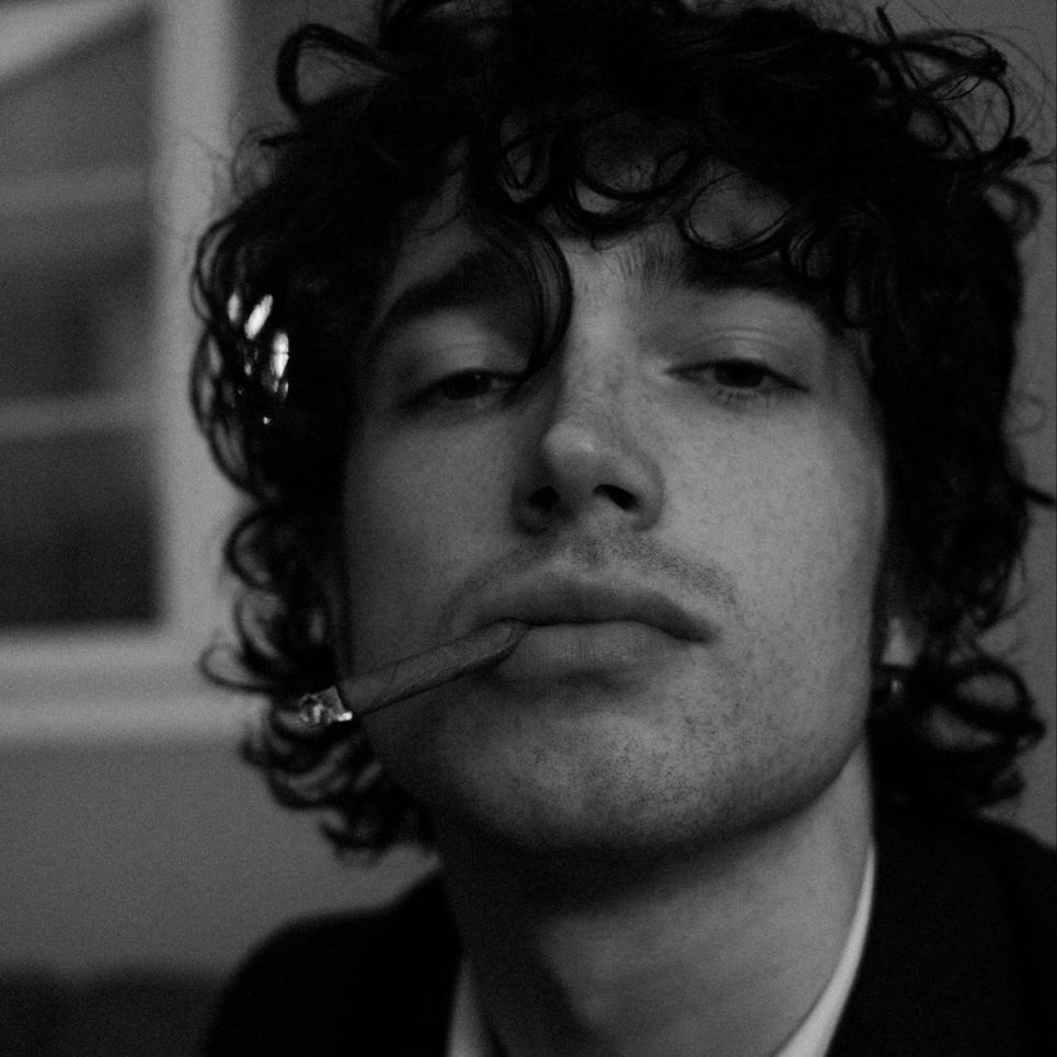 Letterboxd profile picture for @foxes