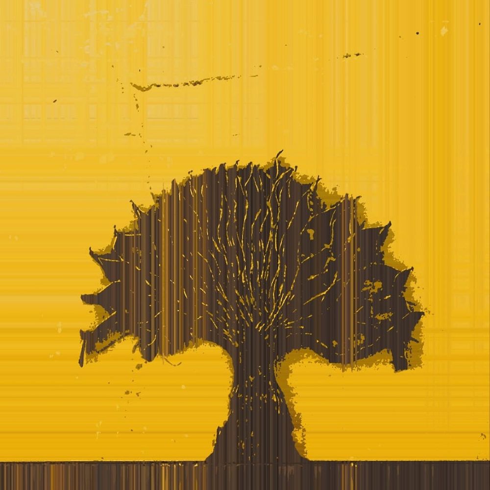 Letterboxd profile picture for @assess