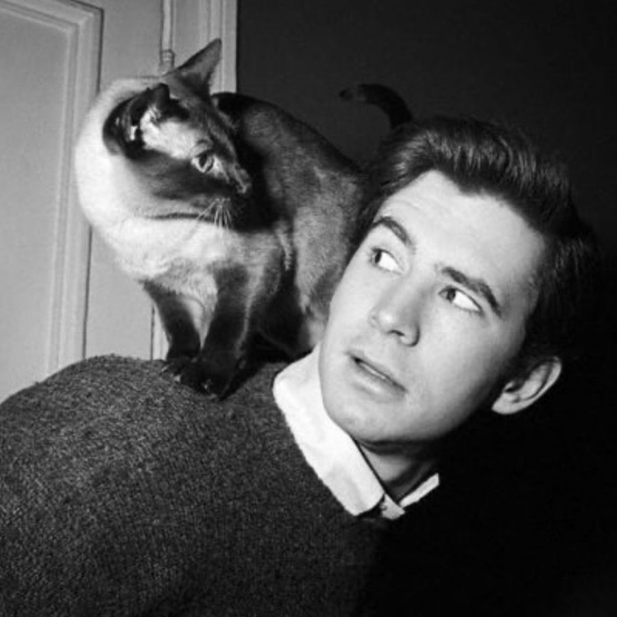 ‎daisy ))’s profile • Letterboxd