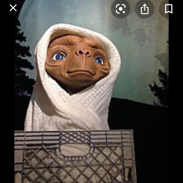 Letterboxd profile picture for @fellah